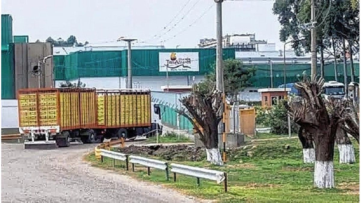 El concurso de Granja Tres Arroyos sigue sin juzgado y advierten por el riesgo de una quiebra