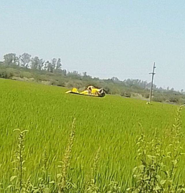 Un avión aeroaplicador golpeó un tendido eléctrico y se precipitó a tierra. Ocurrió en la zona rural de Villa Mantero&nbsp;