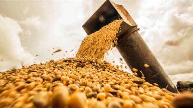Ley de Semillas: punto clave del acuerdo con Estados Unidos reabre una grieta en el campo