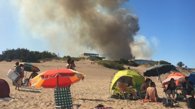 Un incendio forestal afectó la zona norte de Villa Gesell