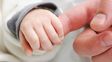 diputados debate la ampliacion de las licencias por paternidad: podria pasar de 2 a 15 dias
