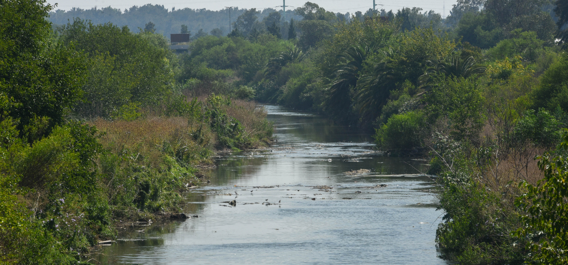 Sacaron 110 toneladas de basura de un sector del arroyo Ludueña en Fisherton