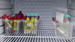 Salud confirmó que ya están disponibles los 10 mil tests de detección rápida