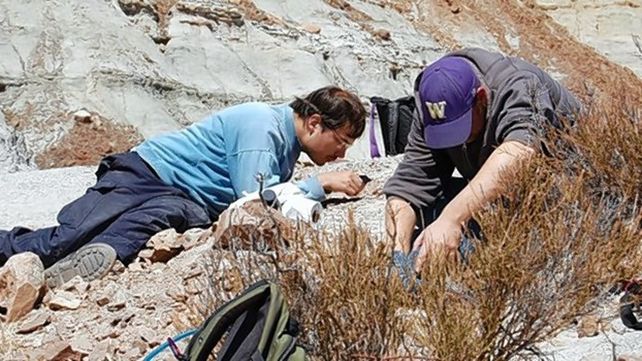 El investigador Martin Ezcurra dirigió un equipo de científicos argentinos estadounidenses