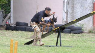 Inauguraron una pista de adiestramiento canino para búsqueda de estupefacientes y control penitenciario. Está ubicada en la Unidad Penal 1 de Paraná