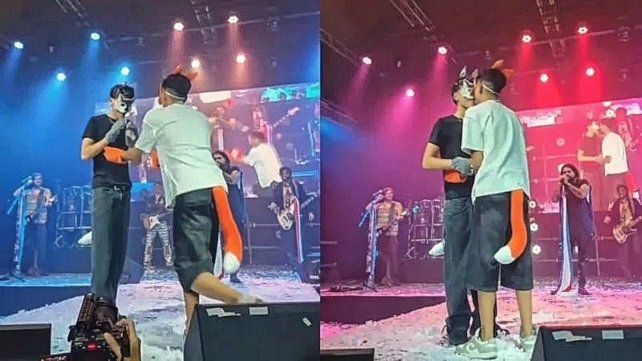 Se viene la primera boda therian en Argentina: así propusieron casarse dos zorros.