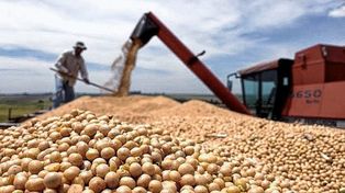 Suman 242 agricultores que recibirán beneficios y compensaciones
