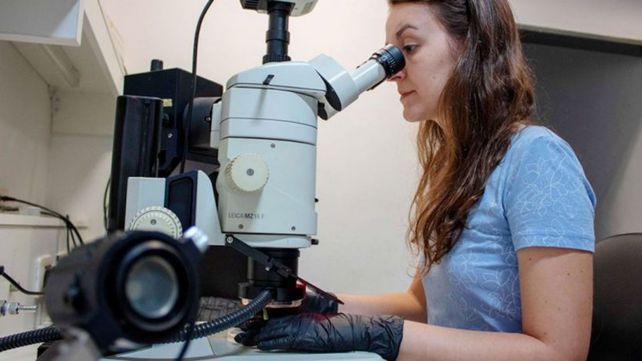 Julia Baulies trabajando en la sala de microscopía de IBR.&nbsp;