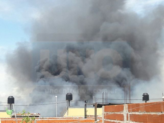 Por una acción irresponsable comenzó el incendio que complicó a los bomberos