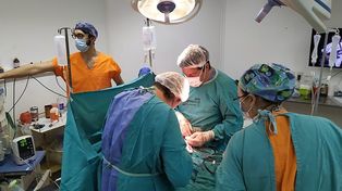 Según datos del Cudaio, en 2024 Santa Fe fue la tercera provincia con más donantes de órganos.