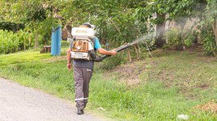 Piden reforzar recomendaciones para prevenir casos de dengue en Argentina