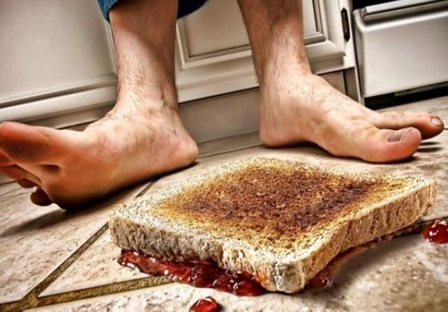 ¿Comerías los alimentos que cayeron al piso?