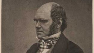 La obra completa de Darwin ya est&aacute; en una p&aacute;gina web