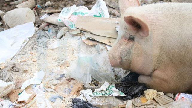 Barrio Antártida Argentina: Al borde de la barranca y cercados por la basura