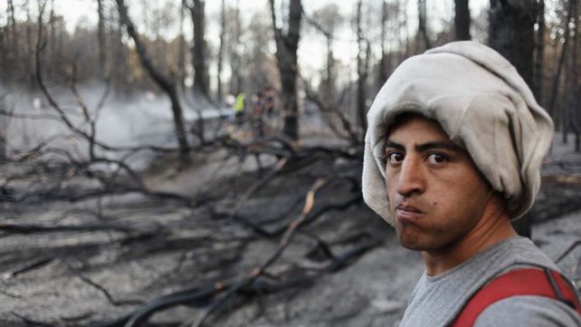 Aseguran que está controlado el voraz incendio en los bosques de Valeria del Mar