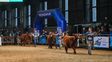 Semana Angus de Otoño: llega la fiesta de la ganadería