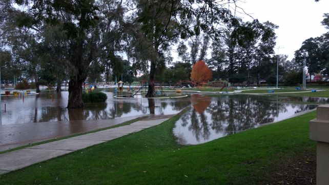 Foto gentileza&nbsp;Silvia Nalivaiko.&nbsp;