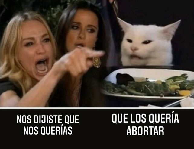 El video que inspiró los memes durante el debate del aborto