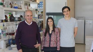 Avance científico argentino para tratar la atrofia muscular espinal en niños