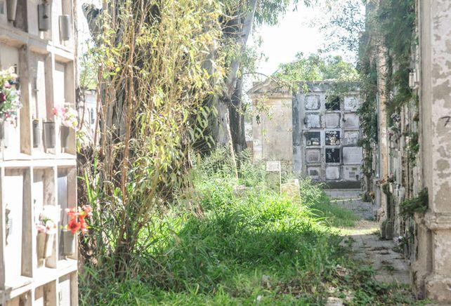 Cementerio: siguen retirando cuerpos a 70 días del derrumbe