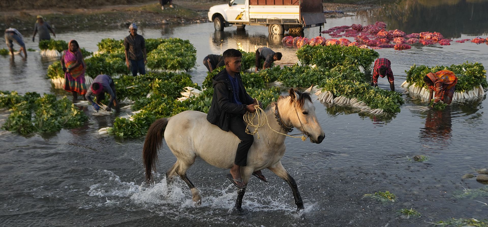 Un granjero monta a caballo mientras otros lavan verduras en un río antes de venderlas en un mercado cerca de la frontera entre India y Pakistán en las afueras de Jammu, India, el lunes 18 de diciembre de 2023 (Foto AP/Channi Anand). Un granjero monta a caballo mientras otros lavan verduras en un río antes de venderlas en un mercado cerca de la frontera entre India y Pakistán en las afueras de Jammu, India, el lunes 18 de diciembre de 2023 (Foto AP/Channi Anand).