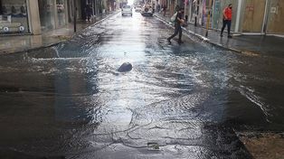 Lluvias y tormentas: anegamiento y caída de árboles en Paraná