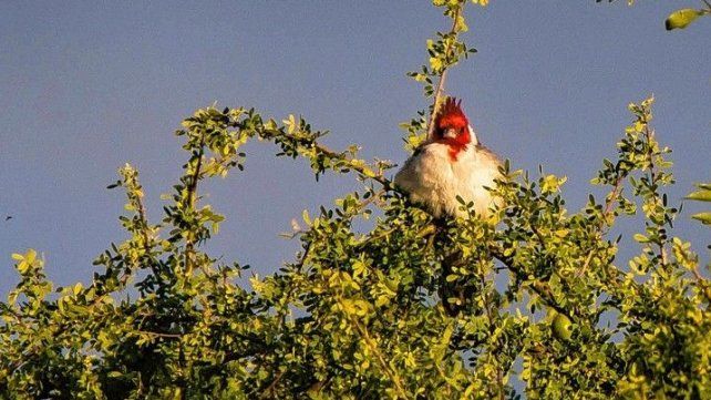Las áreas naturales protegidas son 26 en la provincia.