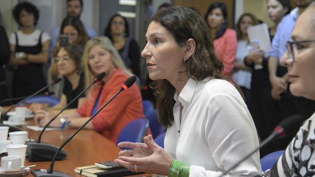 El debate de la Ley de Identidad de Género será en el marco de una reunión de la Comisión de Mujeres y Diversidad
