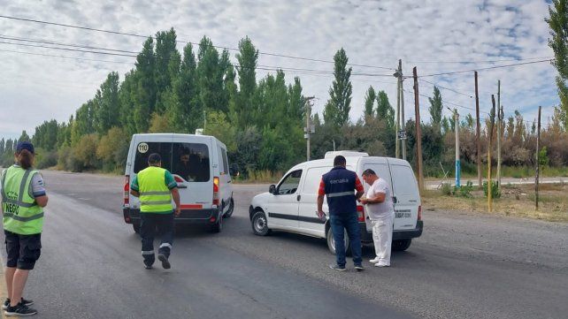 Influenza aviar: confirman en Neuquén un nuevo caso positivo