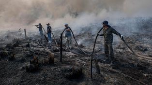 Son 785 mil las hectáreas arrasadas por el fuego en Corrientes en 40 días