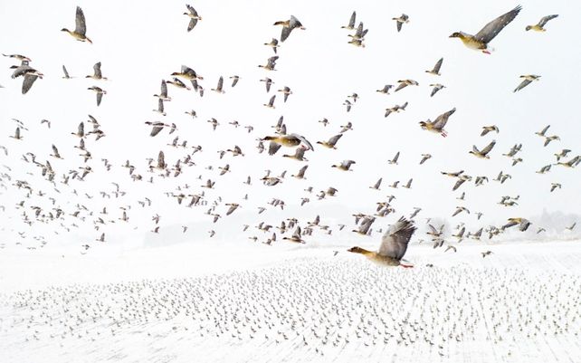 Drone Photo Awards 2021, impactantes imágenes desde las alturas