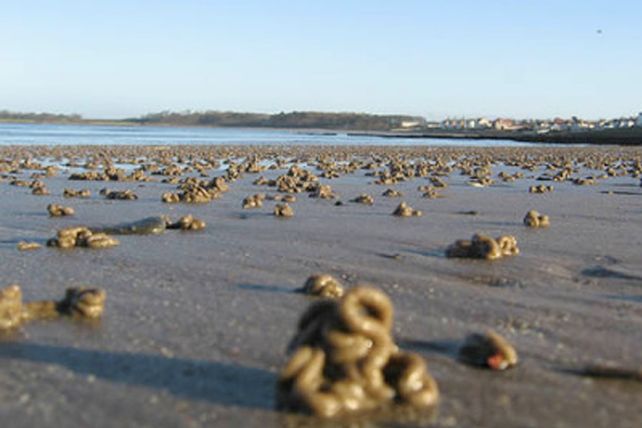 ¡Lluvias imposibles! 10 objetos insólitos que cayeron del cielo