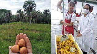 En la zona de Concordia hay un grupo de emprendedores que trabajan en red para que se conozca el yatay.