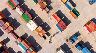 Diferencias entre una comercializadora y una importadora aduanal: ¿cuál necesitas para tu negocio?