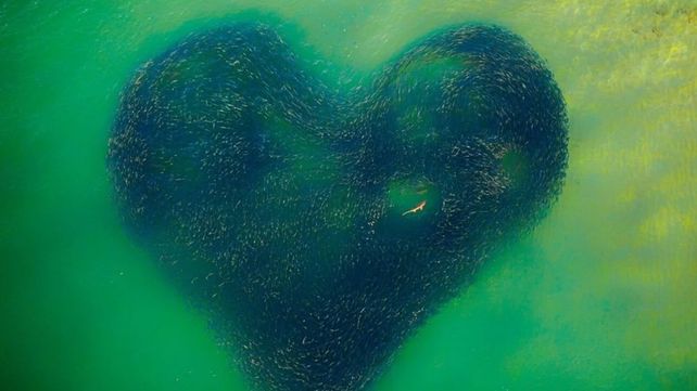 Drone Awards 2020: las mejores fotos aéreas durante la pandemia