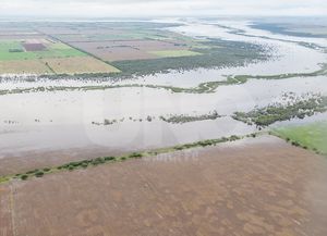 Advierten que la situación del campo es catastrófica”