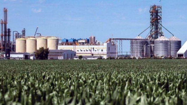 Polémica por los combustibles renovables