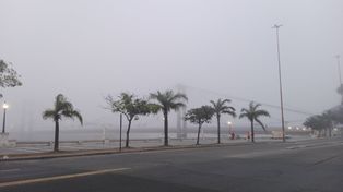 ¿Lloverá hoy o es solo neblina?