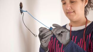 Revista Tuya: María Alejandra Rodríguez dejó la docencia y se transformó en electricista.