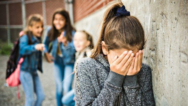 Alarma en Entre Ríos: uno de cada tres alumnos de primaria sufre bullying o ciberbullying.
