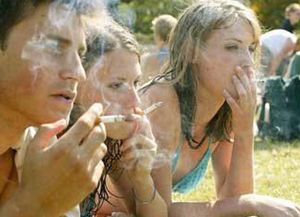 El uso continuo de la marihuana causaría daño cerebral juvenil