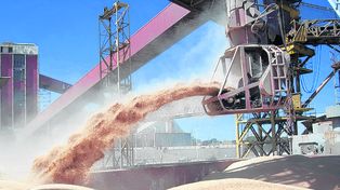 Las exportaciones de harina de soja sumarían u$s 9 mil millones en 2025.