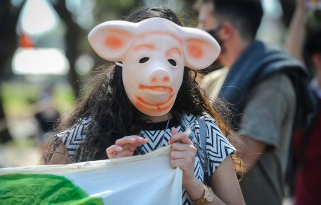 Ambientalistas llevaron a la ex Rural su reclamo por una ley de humedales