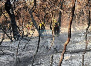 Incendio en Parque Nacional Los Alerces: investigan responsabilidad penal