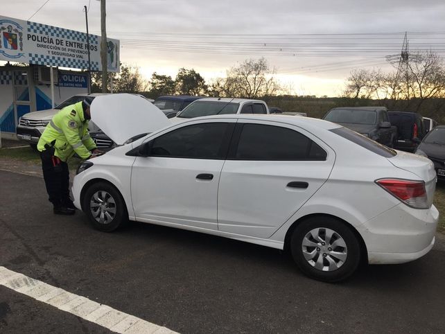 Puesto caminero: autos y camiones flojos de papeles