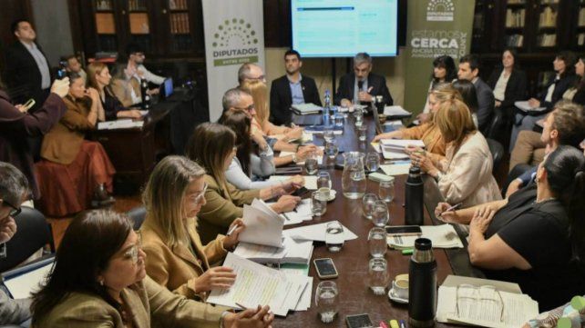 Fabián Boleas expuso en Diputados el Presupuesto 2027.
