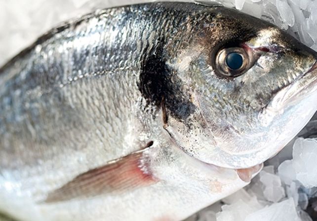 Semana Santa: recomendaciones a la hora de consumir pescados