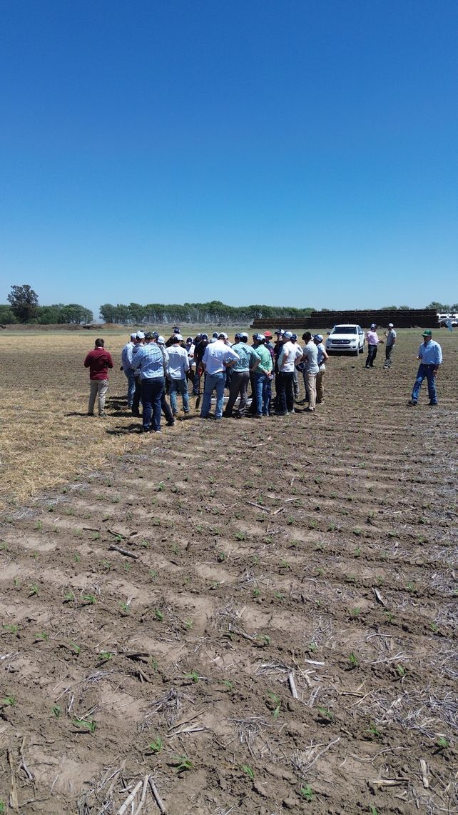 General Cabrera fue sede del encuentro de una red de productores que trabajan con agricultura regenerativa.