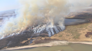 Fuerte operativo para erradicar los incendios en la zona de islas 