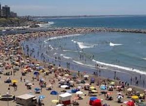 Apareció un tiburón en Mar del Plata